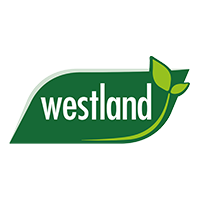Westland Distributor